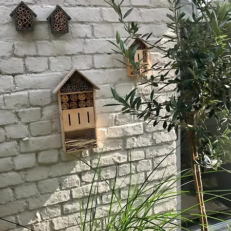 Bed & Breakfast La Ruelle Profondeville