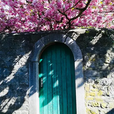 Bed & Breakfast La Ruelle